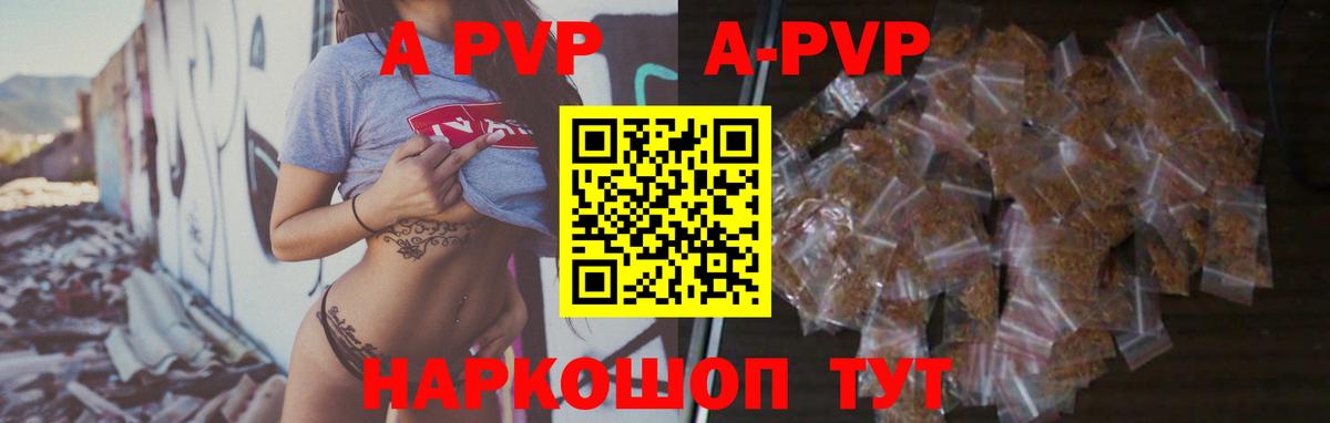 Alfa_PVP СК КРИС Дзержинский