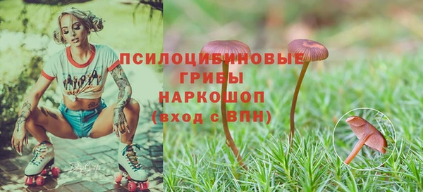 гидра Белоозёрский