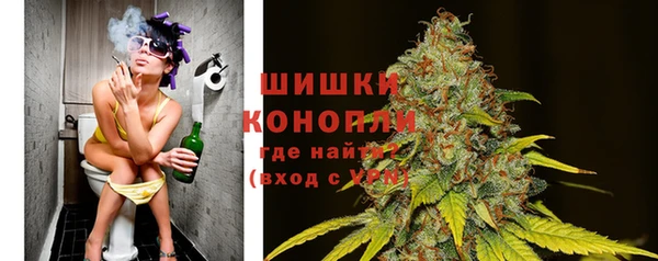 тгк Богородицк
