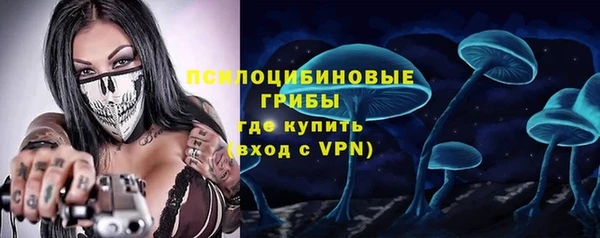 тгк Богородицк