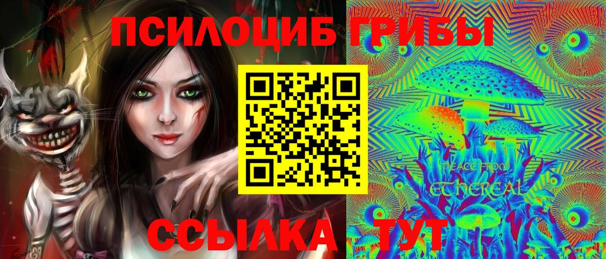 Псилоцибиновые грибы ЛСД  Дзержинский  Галлюциногенные грибы мицелий 