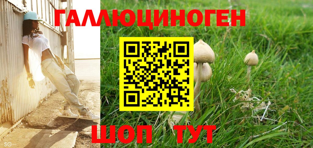 Дзержинский  Галлюциногенные грибы Psilocybe  Галлюциногенные грибы мухоморы  Вход с VPN 